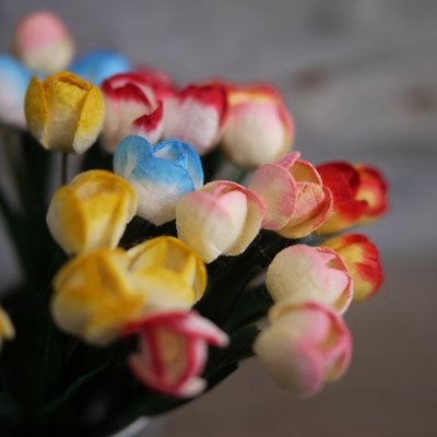 画像3: チューリップ（グラデーションカラー）