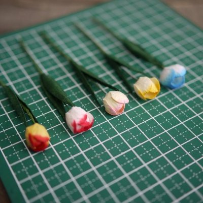 画像7: チューリップ（グラデーションカラー）