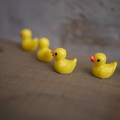 画像8: 【新色追加】アヒルちゃん　Ｓサイズ　あひる