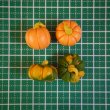 画像3: かぼちゃ（L　グリーン・オレンジ） (3)