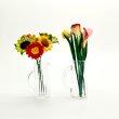 画像2: ガラスピッチャー型花瓶　２タイプ (2)